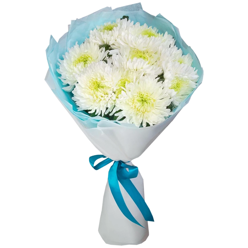 Букет из 9 белых одноголовых хризантем