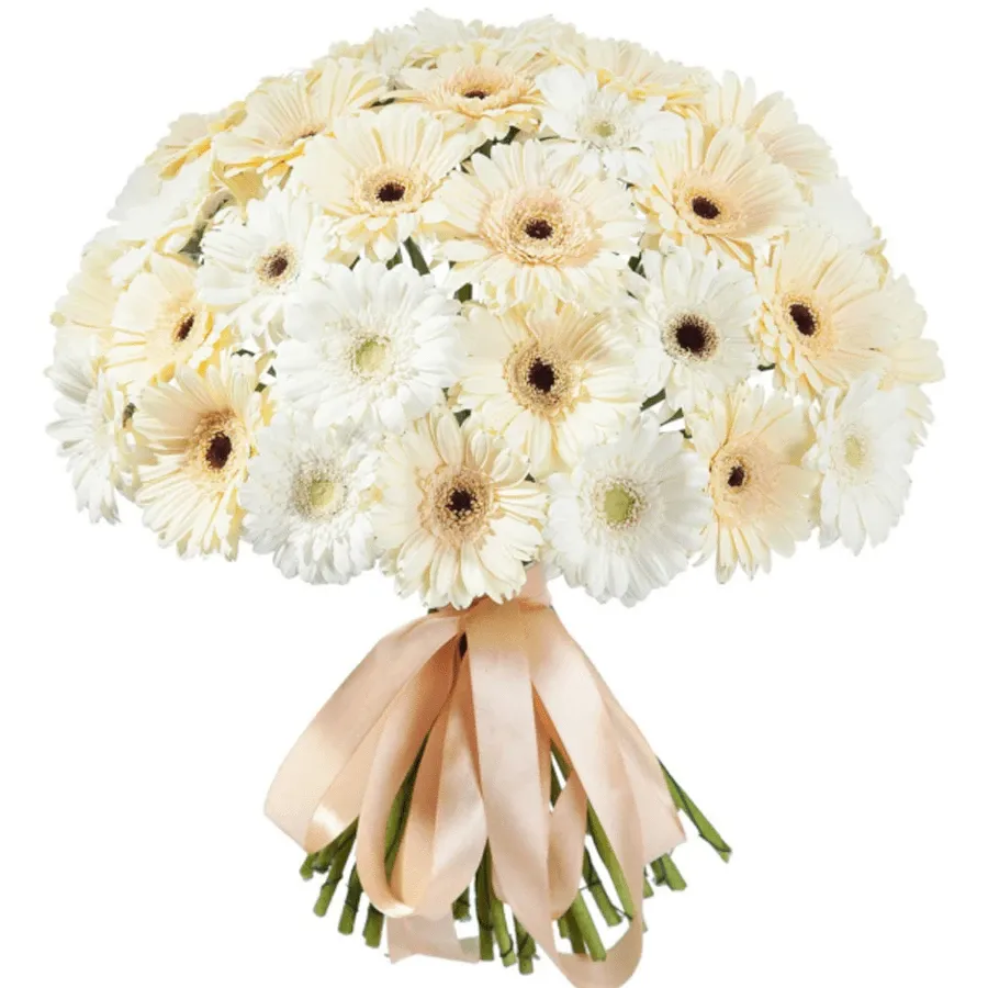 Герберы микс бело-кремовые